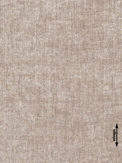 /filemanager/Agiovlasitis/koala (6).jpg